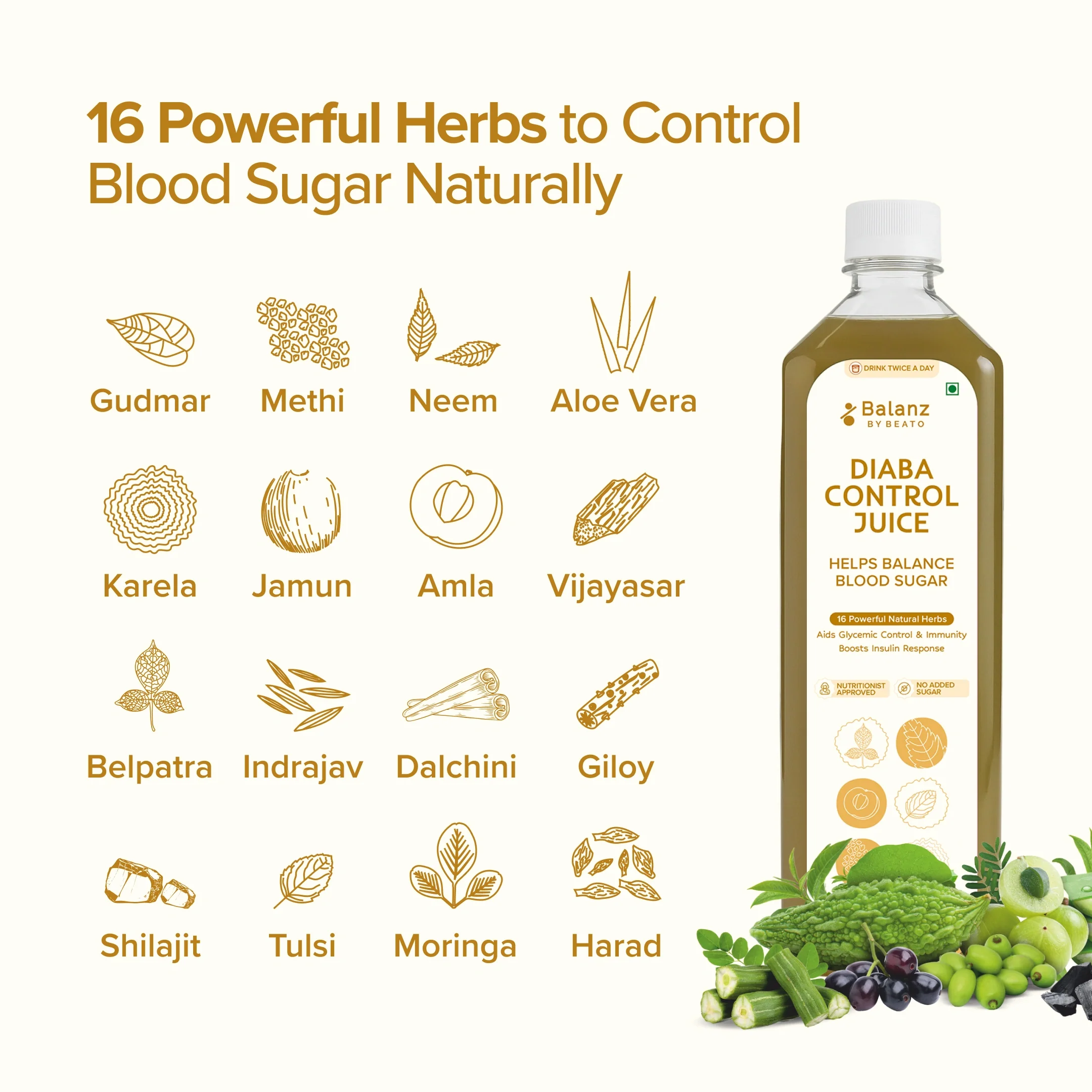 Balanz by BeatO Diaba Control Juice 1L |Ayurvedic Blend for Healthy Blood Sugar, 16 Natural Ingredients, Boosts Insulin Response, Supports Immunity & Metabolic Health, No Added Sugar. - Image 3