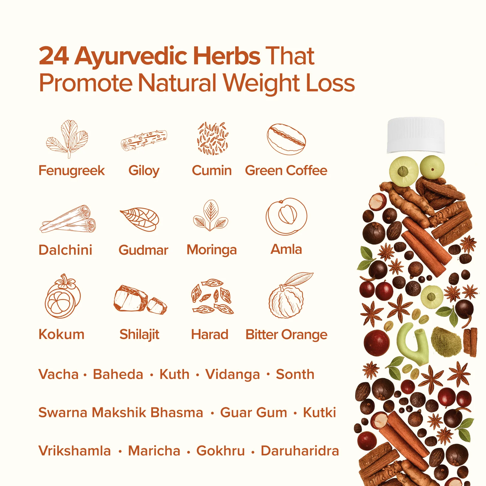 Balanz by BeatO Easy Slim Juice (1L) | Metabolism-Boosting Ayurvedic Herbs | Aids Weight Management | Supports Digestion & Detox | No Added Sugar | No Artificial Flavours - Image 3