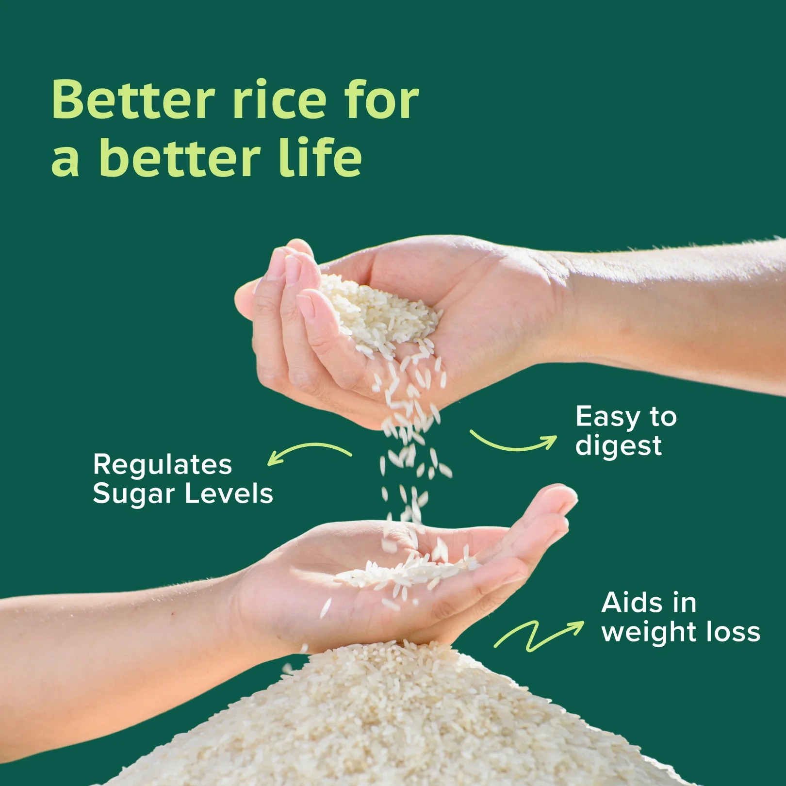 GudSwap by BeatO Rice (1kg) | Low GI 51 | Diabetes-Friendly |  Easy to Digest |  High Fibre | Non-GMO | No Pesticides - Image 4