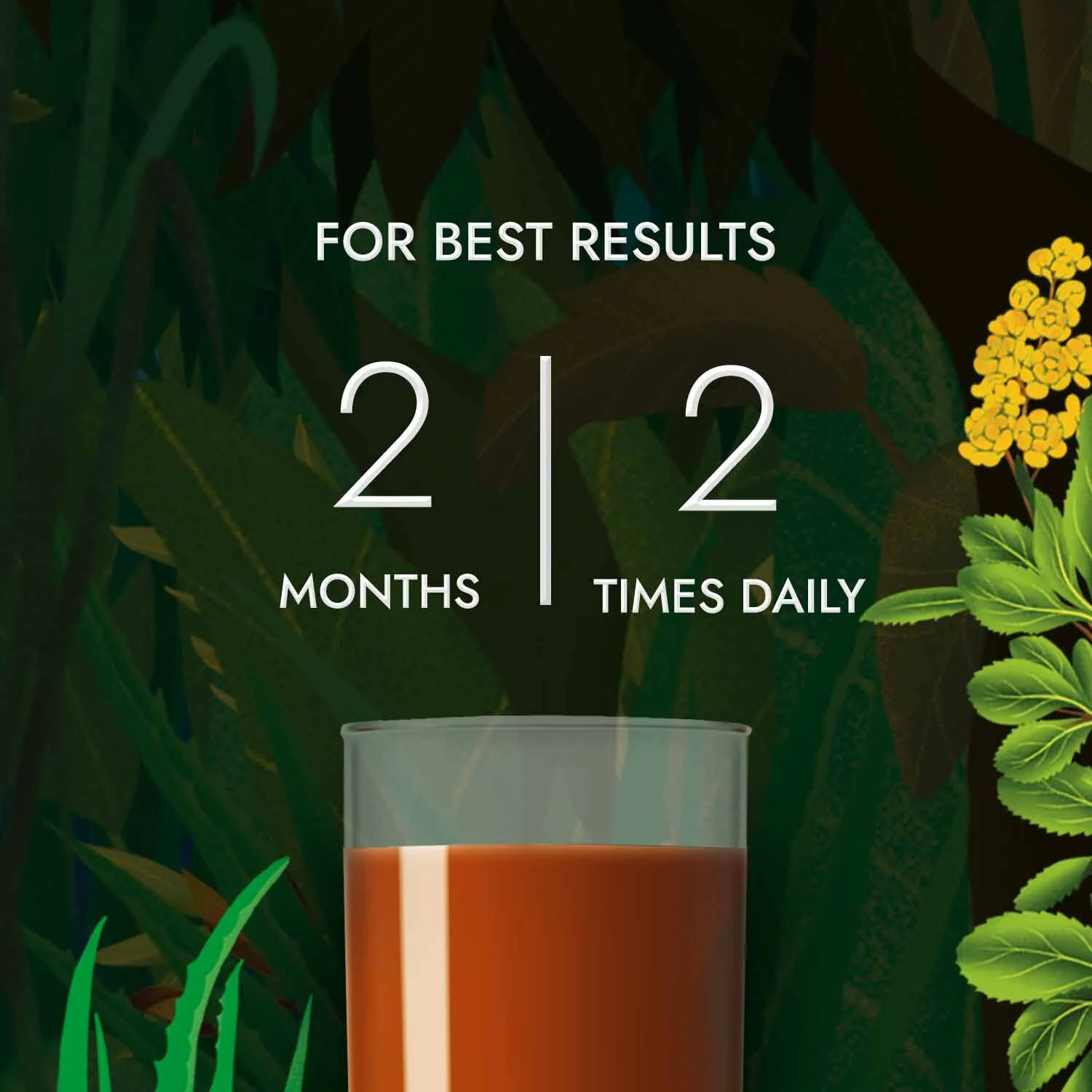 Kapiva's Get Slim For Weight Loss Management Ayurvedic Health Juice - 1L - Image 11