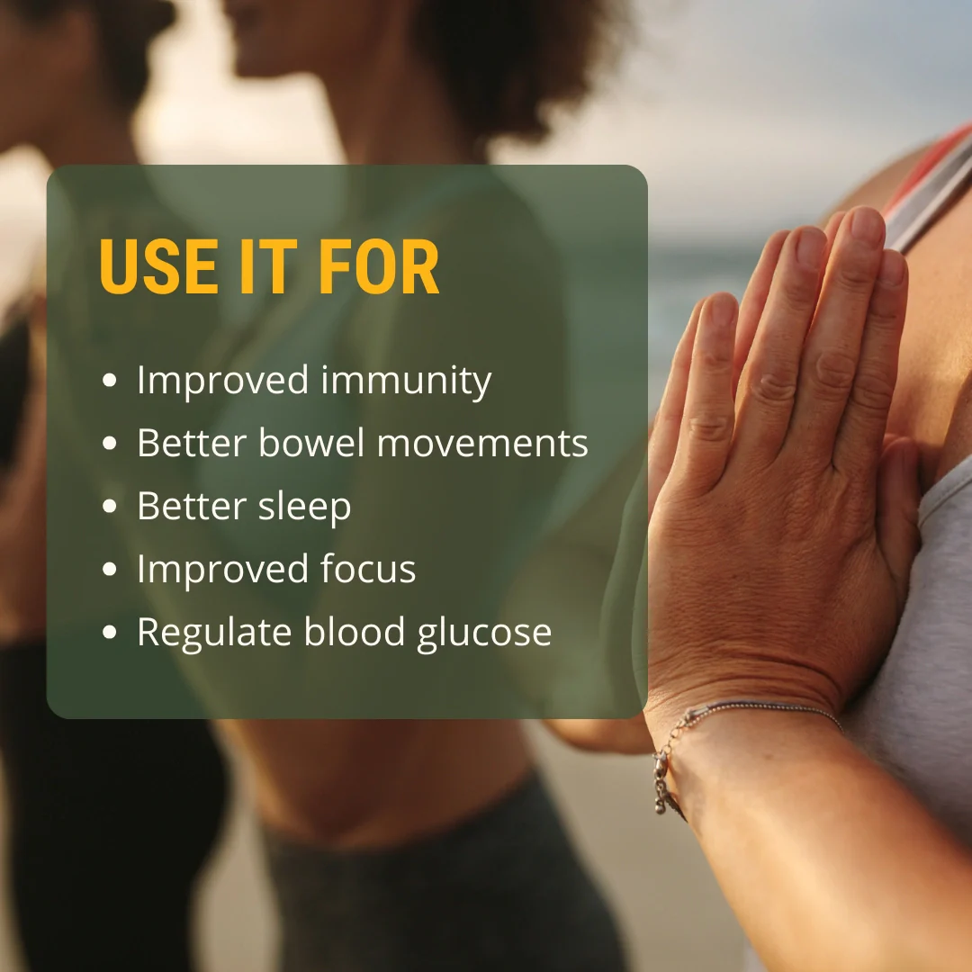 The Healthspan Co. Metabolic Boost Gut Repair Digestive Mix - Image 3