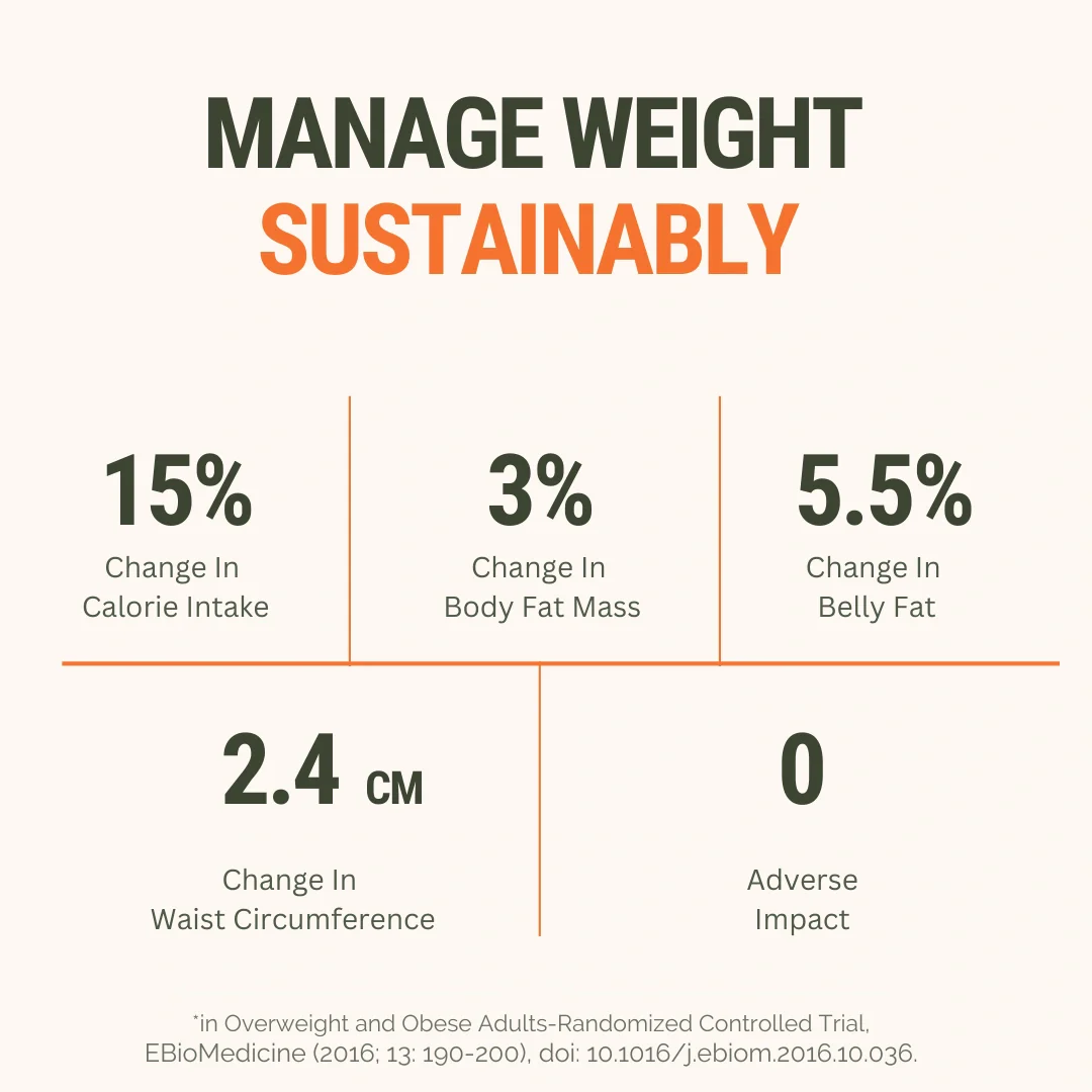 The Healthspan Co. Sustainably Lean Metabolic Mix - Image 3